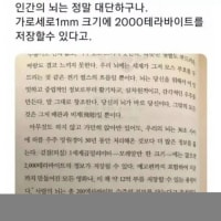 인간 뇌가 1mm당 저장할수 있는 용량