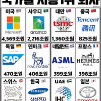 국가별 시총 1위 회사 ㄷㄷㄷㄷㄷㄷ