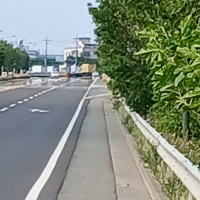 신기루 보고가라