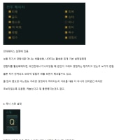 인게임 개꿀설정 팁 모음