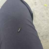 바텐더 여기 주ㅁ...