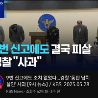 또 너네야? 동탄