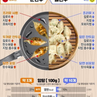 군만두 대신 물만두 먹어야 하는 이유