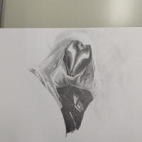 재의 기사 파이크