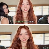 주토피아 여우 닉 닮았다고 말하는 걸그룹 멤버.jpgif