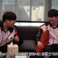 비디디 논란 ㄷㄷ