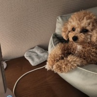 술을 마실수록 달아지는 과학적인 이유 ㄷㄷ