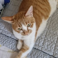 유으미