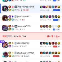 대충 로밍 ㅈㄹ게 다니면서 성장하면 생기는일