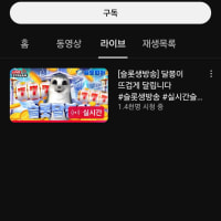 이 씨발새끼들은 뭐냐?