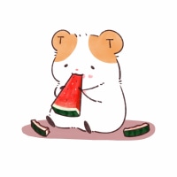 게시판에 햄스터 던지기