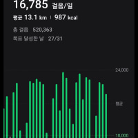 옵붕이 걸음수 어때
