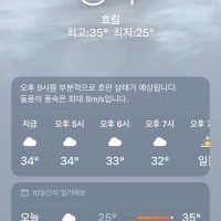 날씨 개버그걸렸네