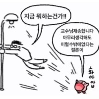 시험 망함