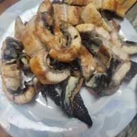 옵붕이 장어 먹었다