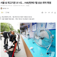 서울사는 옵붕쿤 살아있능가?