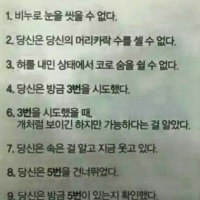 열가지 신기한 사실들