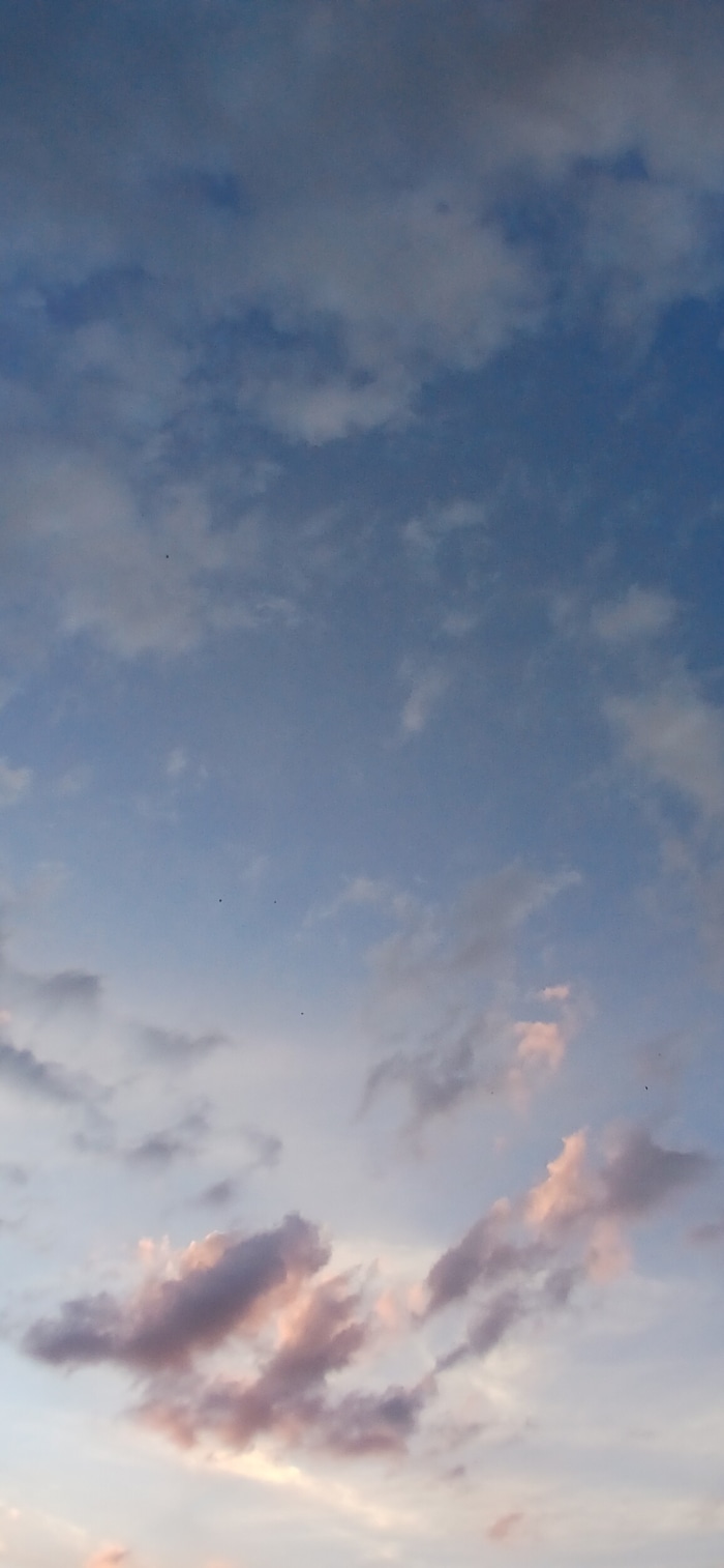 푸키먼 보고가라