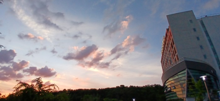 20250708163143.0.5185447.jpg?image=w_700,c_limit,fl_lossy