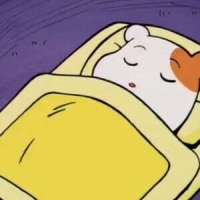 지금 T1팬 심정 (본인 포함)