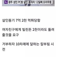 사람 찔러죽이고 욕 덜 먹은 사람