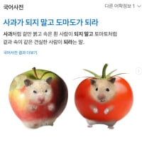 토마토 맛있다