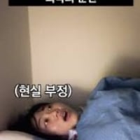 실시간 4세트 젠지팬 근황