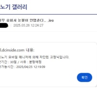마비노기 모바일 갤러리 차단 사유 레전드