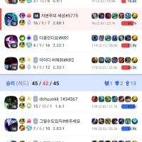 라인전 쌉바르고 팀도 도와주고 풀탬 상대보다 일찍만들었는대 왜졋냐