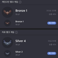 원딜들이 싫어하는 서포터가 나 일지도…