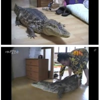 싱글벙글 광기 가득했던 2000년대 초반 ㅋㅋㅋ