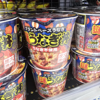 일본에 나온 수수께끼의 제품