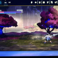 코신 전투 버그