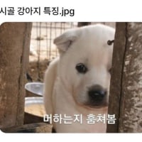 사실 나도 진짜 미친듯이화나면 책상칠때있긴한데