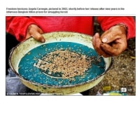 얄짤없는 공포의 태국 교도소 ㄷㄷ