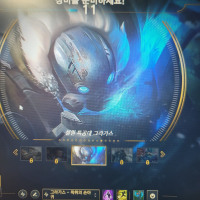 가족이 스킨사줌