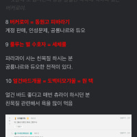 요즘 세체룰 가지고 말 많길래 찾아봤는데