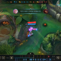 미드로 용 스틸 성공했다