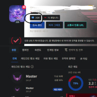 5년동안 실~마스터 까지 찍으면서 개인적으로 생각한 티어별 탈출 법