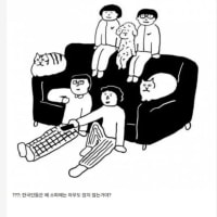 외국인들이 신기해하는 한국 소파 문화
