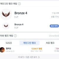 서폿용계정 브론즈찍음