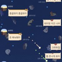 트린유저 형제가 노는 법