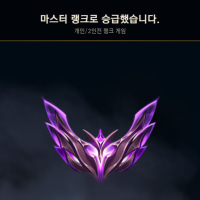 마스터 승급전 결과