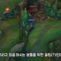 유튜브 보다가 정글 개꿀팁 찾았네 ㅋㅋ