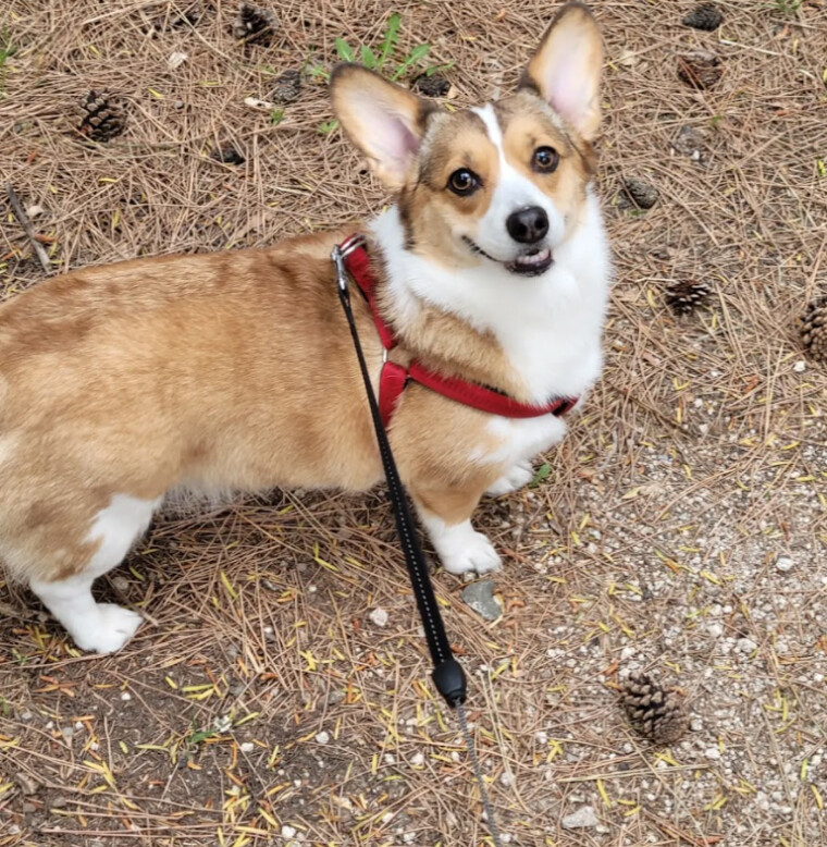 화면 캡처 2025-08-05 194202.png