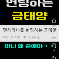 옵지글 퍼가는건 상관 없는데