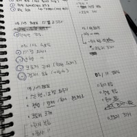 나만큼 플레너 대충쓰는 사람있음?