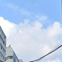 오늘 날씨 버그냐?