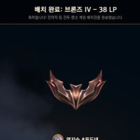 배치봤는데 브론즈 나왔다고?