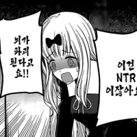 순애vs NTR